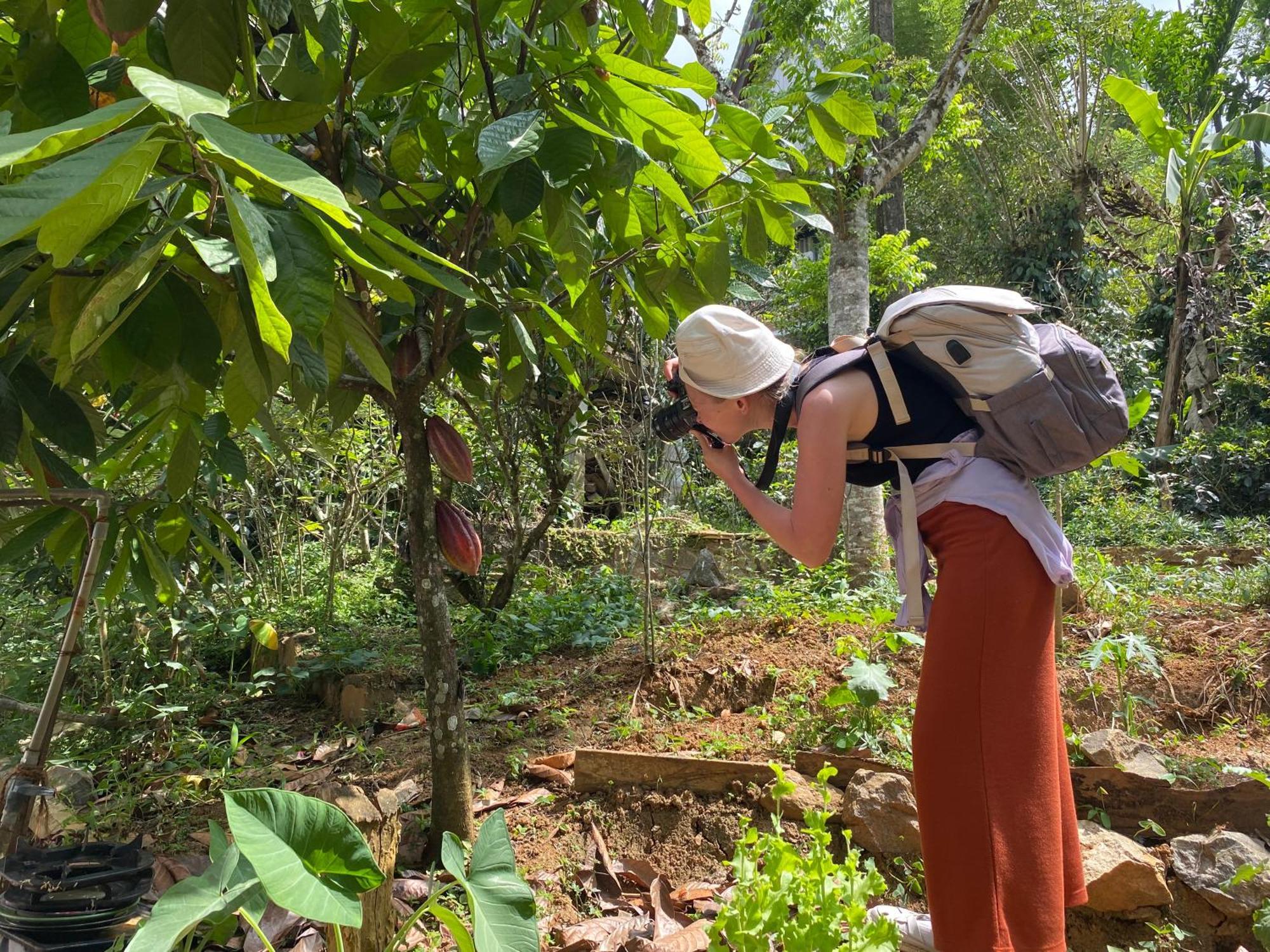 Ella Nine Arch Spice Garden Hotel Bagian luar foto