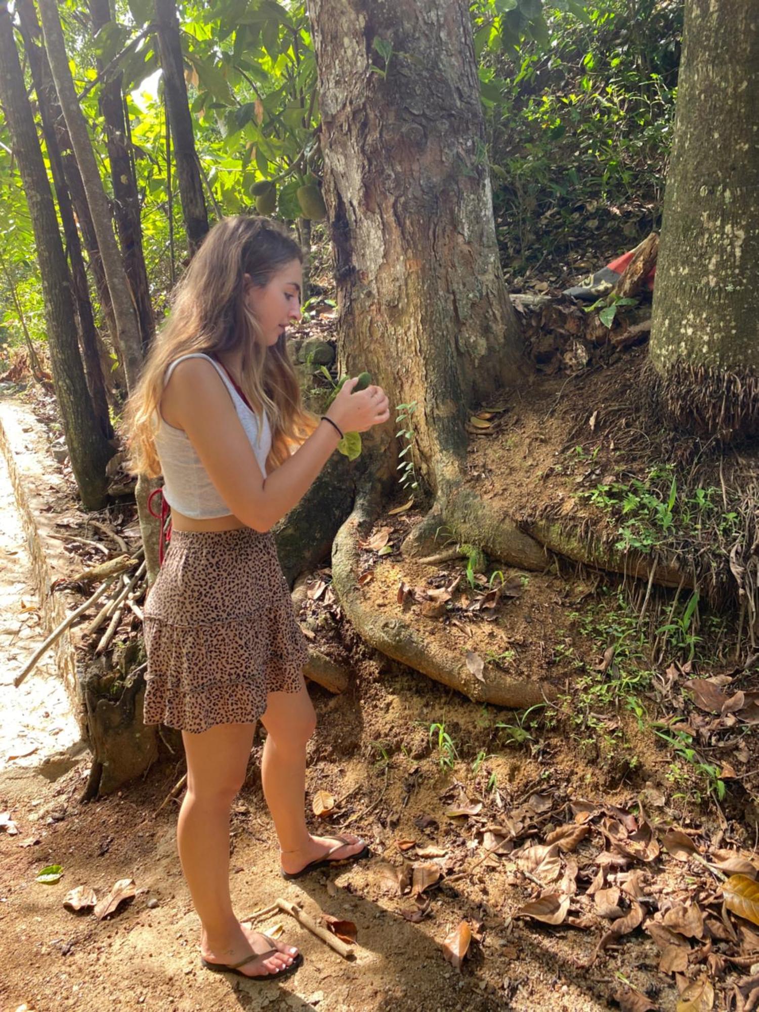 Ella Nine Arch Spice Garden Hotel Bagian luar foto